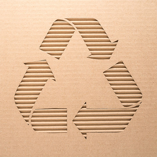 Cartone simbolo riciclaggio