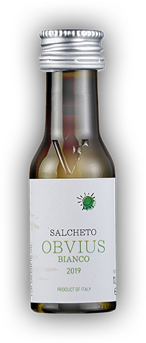 Campione di vino Salcheto