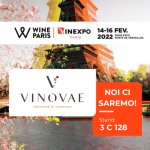 vinovae a wine paris