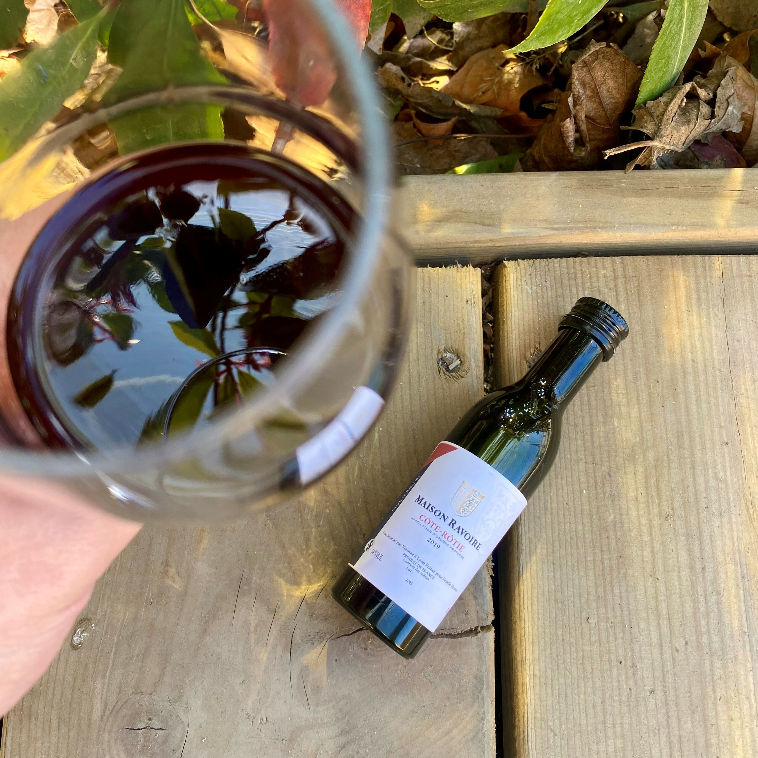 Cata de vinos