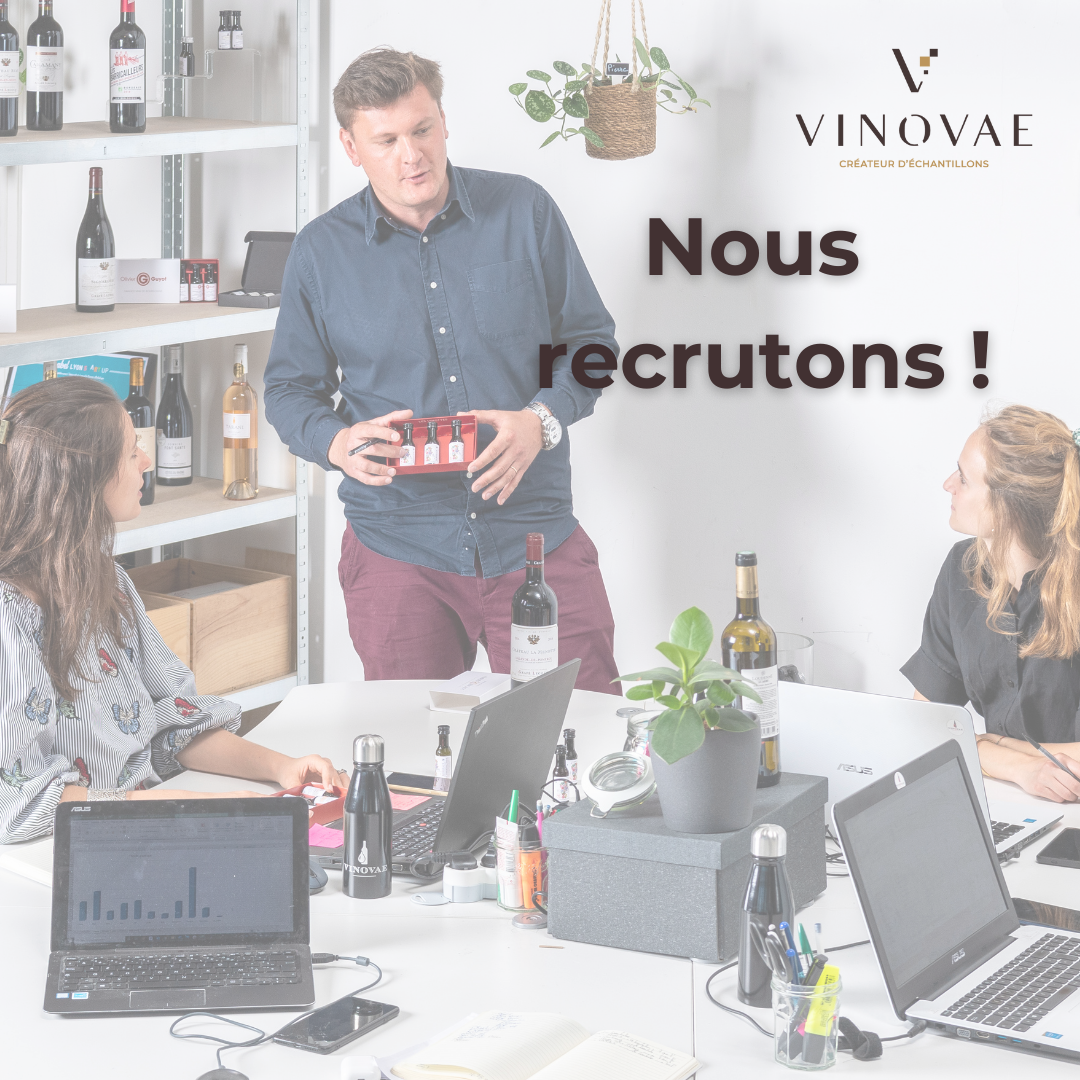 offre de stages marketing et commerce vinovae lyon