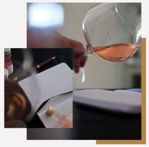 Hopwine y Vinottes
